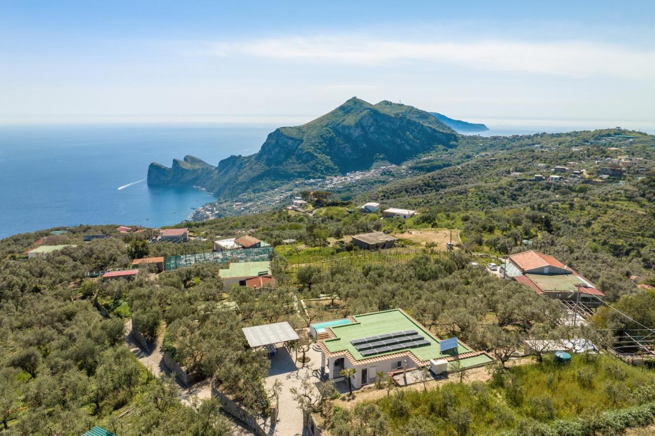 Villa Rusinella Minimalist Retreat With Sea Views Massa Lubrense Dış mekan fotoğraf